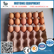 30 Egg Carton Latest Wholesale Price